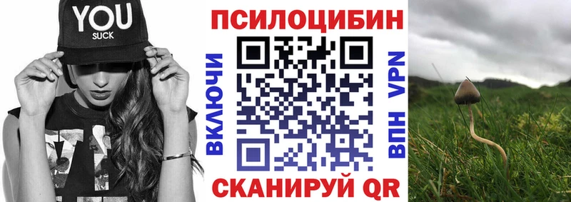 blacksprut рабочий сайт  Покачи  Галлюциногенные грибы Cubensis 